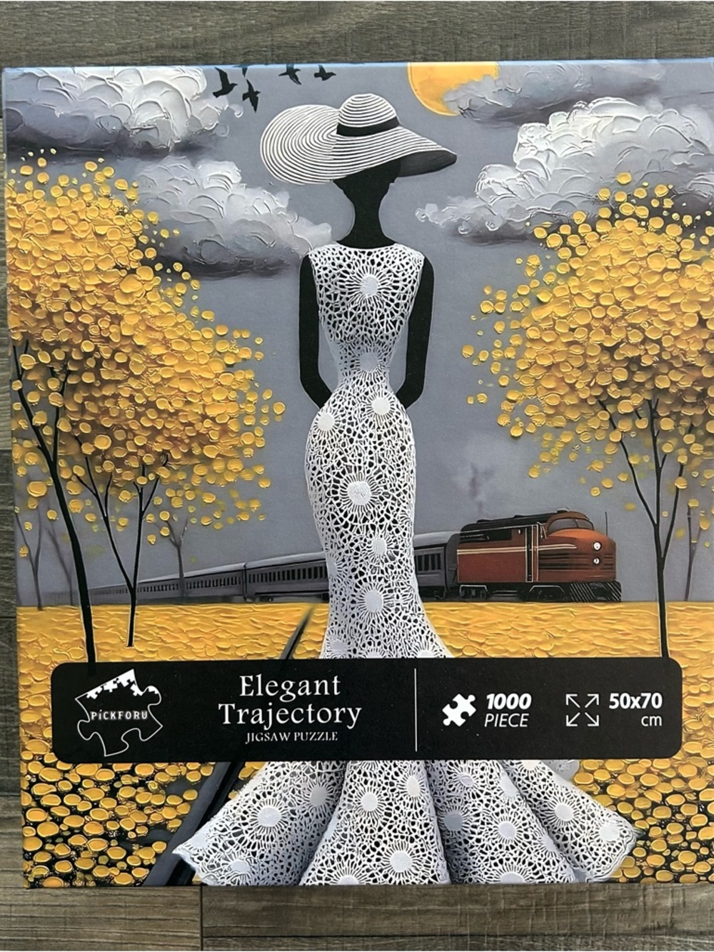 Pickforu Elegant Trajectory 1000-piece Jigsaw Puzzle 50 cm X 70 cm Complete